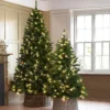 5ft Pre-Lit Christmas Tree - Evergreen Artificial Festive Xmas Decoration With Mains Powered LED Lights - H153 X 120cm Diameter