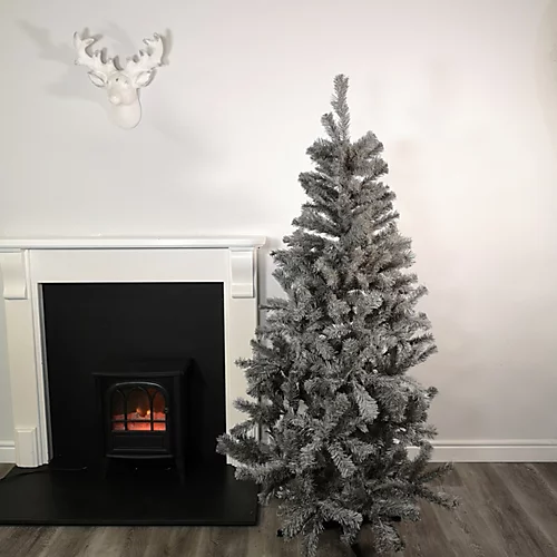6ft (180cm) Colorado Grey Spruce Christmas Tree With Wrapped Branches & 483 Tips 1 6ft (180cm) Colorado Grey Spruce Christmas Tree With Wrapped Branches & 483 Tips