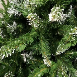 7ft (2.1m) Premier Luxury Mountain Snow Tipped Fir Christmas Tree With 1,155 Tips -Outlet Christmas Decor Store 7ft 2 1m premier luxury mountain snow tipped fir christmas tree with 1 155 tips5056589187026 04c MP