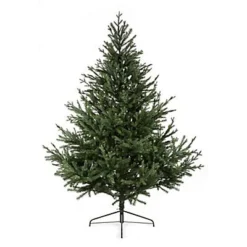 8ft Glenshee Spruce Artificial Christmas Tree