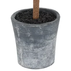 Christmas Fir Tree In Stone Pot 6 Christmas Fir Tree In Stone Pot -Outlet Christmas Decor Store christmas fir tree in stone pot5050140181287 03c MP