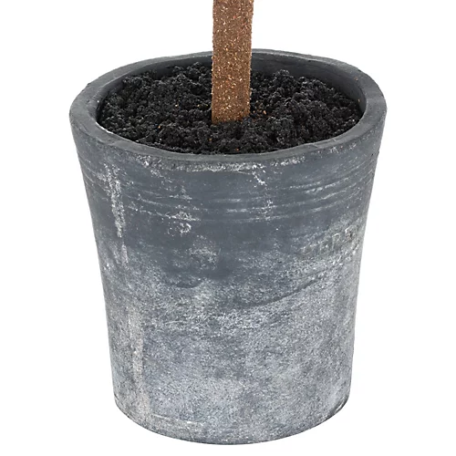 Christmas Fir Tree In Stone Pot 3 Christmas Fir Tree In Stone Pot - Image 3