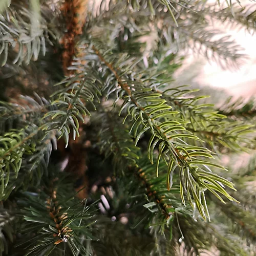 Everlands 120cm (4ft) Green Grandis Fir Real Look Christmas Tree With 575 Tips 3 Everlands 120cm (4ft) Green Grandis Fir Real Look Christmas Tree With 575 Tips - Image 3